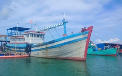Một thuyền viên bị mất tích khi lặn xuống biển gỡ lưới mắc vào chân vịt tàu đánh cá ở Bình Thuận