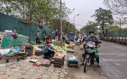 Chợ cóc, chợ tạm tự phát trên vỉa hè Hà Nội