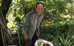Một ông nông dân Bình Thuận nhường nhà tình thương cho người khác nghèo hơn
