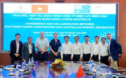 EVNSPC trao đổi hợp tác năng lượng với các doanh nghiệp Australia