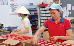 Dưới 10% doanh nghiệp tại TP.HCM thụ hưởng ưu đãi từ các gói hỗ trợ vốn