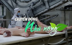 Chuyển động Nhà nông 4/3: Hoa Kỳ là thị trường cung cấp thịt, sản phẩm từ thịt lớn nhất cho Việt Nam