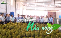 Chuyển động Nhà nông 5/3:Sầu riêng mang kỳ vọng đột phá về xuất khẩu trái cây Việt Nam