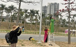 Con đường hoa tại Hà Nội tạo thu nhập tiền triệu cho lao động tự do dịp cuối tuần 