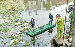 Sông Cà Mau ở Ninh Bình được dọn sạch rác hôi thối sau phản ánh của Báo Dân Việt