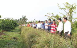Bộ trưởng Lê Minh Hoan đề nghị Long An xây dựng chương trình học kỳ làm nông