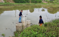 Vụ hơn 1.000 hộ dân “khát” nước sạch ở Ninh Bình, Phó Chủ tịch UBND huyện Yên Mô trực tiếp đi kiểm tra