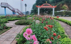 Không ngoa chút nào, nông thôn mới nơi này của Nghệ An đâu cũng thấy hoa đua nở, đáng sống là phải rồi