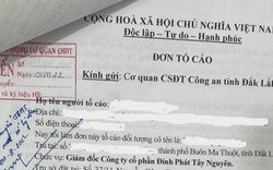 Điều tra một công ty có dấu hiệu chiếm đoạt tài sản từ dịch vụ đưa người đi du học nước ngoài 