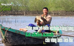 NÔNG THÔN XANH: Mối liên kết chặt chẽ giữa chăn nuôi gia cầm và giữ gìn môi trường rừng phòng hộ ven biển