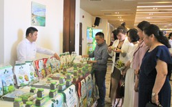 Supe Lâm Thao đưa vi sinh vật có ích vào phân bón vô cơ, nông dân hào hứng bón cho cây trồng
