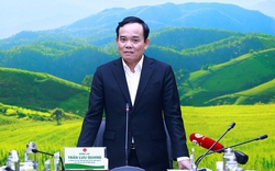Phó Thủ tướng Trần Lưu Quang đảm nhiệm thêm trọng trách