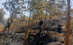 Dập tắt cháy rừng, phát hiện hai người tử vong