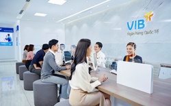 Mua ngoại tệ đến 70.000 USD với thủ tục tối giản chỉ 15 phút tại VIB