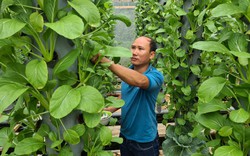Tập huấn cho hội viên, nông dân Lâm Đồng về kinh tế tuần hoàn trong sản xuất nông nghiệp