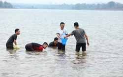 Đàn ông, đàn bà nhóm ba, nhóm bảy lội xuống một hồ đẹp ở Đắk Lắk bắt con luộc lên nước ngọt lừ