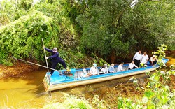 Một rừng tràm nổi tiếng đất An Giang còn hoang sơ, nước ngập khắp nơi, dưới cá tôm, trên chim cò