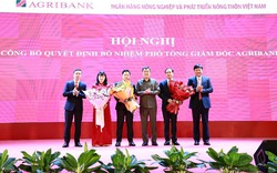 Ngân hàng Nhà nước Việt Nam công bố quyết định bổ nhiệm Phó Tổng giám đốc Agribank