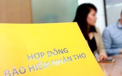 Thực hư việc có hay không khách hàng không được đàm phán, điều chỉnh các điều khoản hợp đồng bảo hiểm