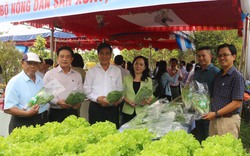 Hội Nông dân TP HCM bàn giải pháp nâng cao chất lượng 86 CLB Nông dân sản xuất, kinh doanh giỏi