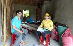 Bình Định: Nữ chi hội trưởng nông dân 2 lần được Tổng Giám đốc Ngân hàng CSXH hội tặng Bằng khen