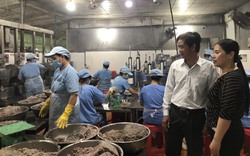 Khánh Hòa: Phê duyệt kinh phí trên 2,1 tỷ đồng thực hiện khuyến công