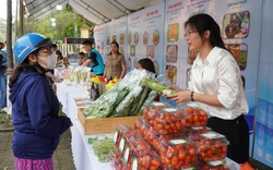 Hội Nông dân Bắc Ninh tổ chức chợ phiên nông sản an toàn năm 2023