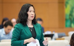 Bộ trưởng Đào Hồng Lan được giao thêm nhiệm vụ thay bà Nguyễn Thị Kim Tiến 