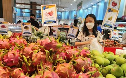 Một loại trái cây Việt Nam vào siêu thị Aeon Nhật Bản rất ít, nhưng khi đông lạnh, họ mua liền 360 tấn
