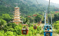 'Vào mùa' nhưng Cáp treo Núi Bà Tây Ninh (TCT) báo lãi Quý I giảm 22% xuống 18,5 tỷ đồng