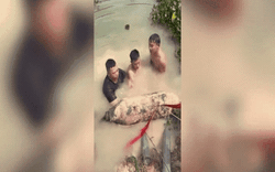 Clip NÓNG 24h: Phát hiện quả bom nặng 300kg chưa nổ khi đào ao ở Bình Phước 