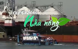 Chuyển động Nhà nông 22/4: Một số tập đoàn, công ty Đức muốn nhập khẩu cao su Việt Nam