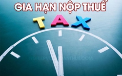 Gia hạn thời hạn nộp thuế và tiền thuê đất trong năm 2023