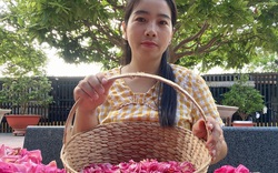 Trồng vườn hoa hồng đẹp như mơ, chị kế toán bỏ nghề ở Đồng Nai khiến cả làng thơm nức