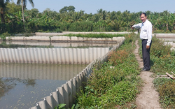 Nuôi loài đặc sản tối ngày lặn dưới ao, hễ đẻ là mò lên cạn, ông nông dân Hậu Giang bán đắt hàng