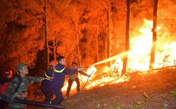 Tây Bắc bộ, Tây Nguyên, Nam Trung bộ, Nam Bộ nắng nóng gay gắt, nhiều khu rừng cảnh báo cháy cấp cực kỳ nguy hiểm
