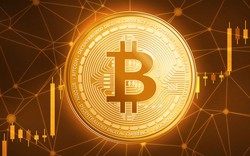 Người đầu cơ bitcoin lâu năm nói thẳng sự thật sau sự sụp đổ hàng loạt