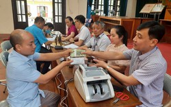 Hội Nông dân tỉnh Thái Nguyên tập huấn kỹ thuật cho nông dân trồng măng lục trúc