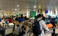 Khắc phục việc chậm trả hành lý tại sân bay Tân Sơn Nhất phục vụ cao điểm lễ