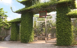 Làng vườn Bách Thuận đất Thái Bình đi đâu cũng nhìn thấy cây cảnh, cổng nhà đẹp như phim