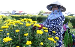 Khánh Hòa: Vận động nông dân hiến hơn 22.000 m2 đất và đóng góp trên 12 tỷ đồng