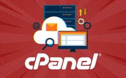Hàng nghìn tổ chức tại Việt Nam bị ảnh hưởng bởi lỗ hổng nghiêm trọng trong phần mềm quản trị website cPanel