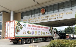 Trung Quốc ồ ạt trồng chuối, thanh long và vải: Hàng nông sản Việt Nam gặp khó!?