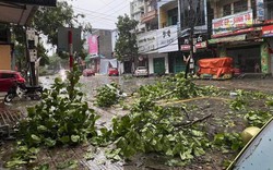 Mưa lớn kèm giông lốc ở Thái Nguyên gây thiệt hại nhiều tài sản, đổ nhiều cây xanh