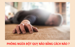 Làm gì để có thể phòng ngừa cơn đột quỵ não?