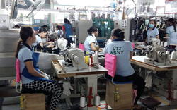 Đồng Nai: Doanh nghiệp thiếu đơn hàng, 800 công nhân mất việc