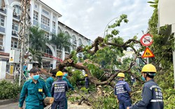 Trường THCS Trần Văn Ơn hỗ trợ chi phí các nạn nhân bị cây đè trúng, túc trực tại bệnh viện 