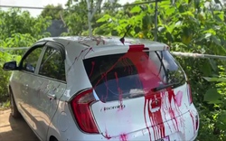 Video: Ô tô của phóng viên chuyên điều tra tiêu cực tại Đắk Lắk bị tạt sơn đỏ