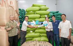 Cà phê đặc sản tăng giá gấp 7 lần sau phiên đấu giá đầu tiên ở Việt Nam
