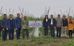 Hội Nông dân tỉnh Hải Dương phát động đợt thi đua đặc biệt chào mừng Đại hội Hội Nông dân các cấp